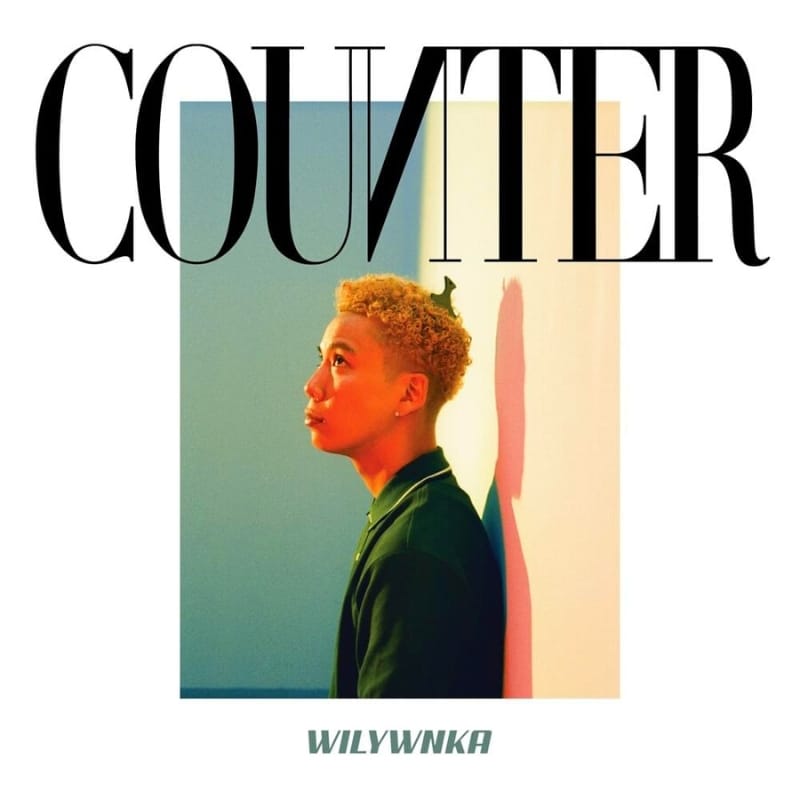 WILYWNKA, COUNTER