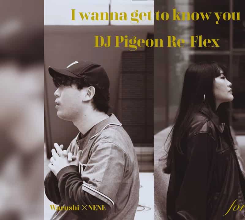 Warushi×NENE - I wanna get to know you(DJ Pigeon Re-flex)