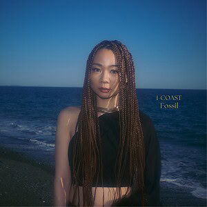 i-COAST, Fossil